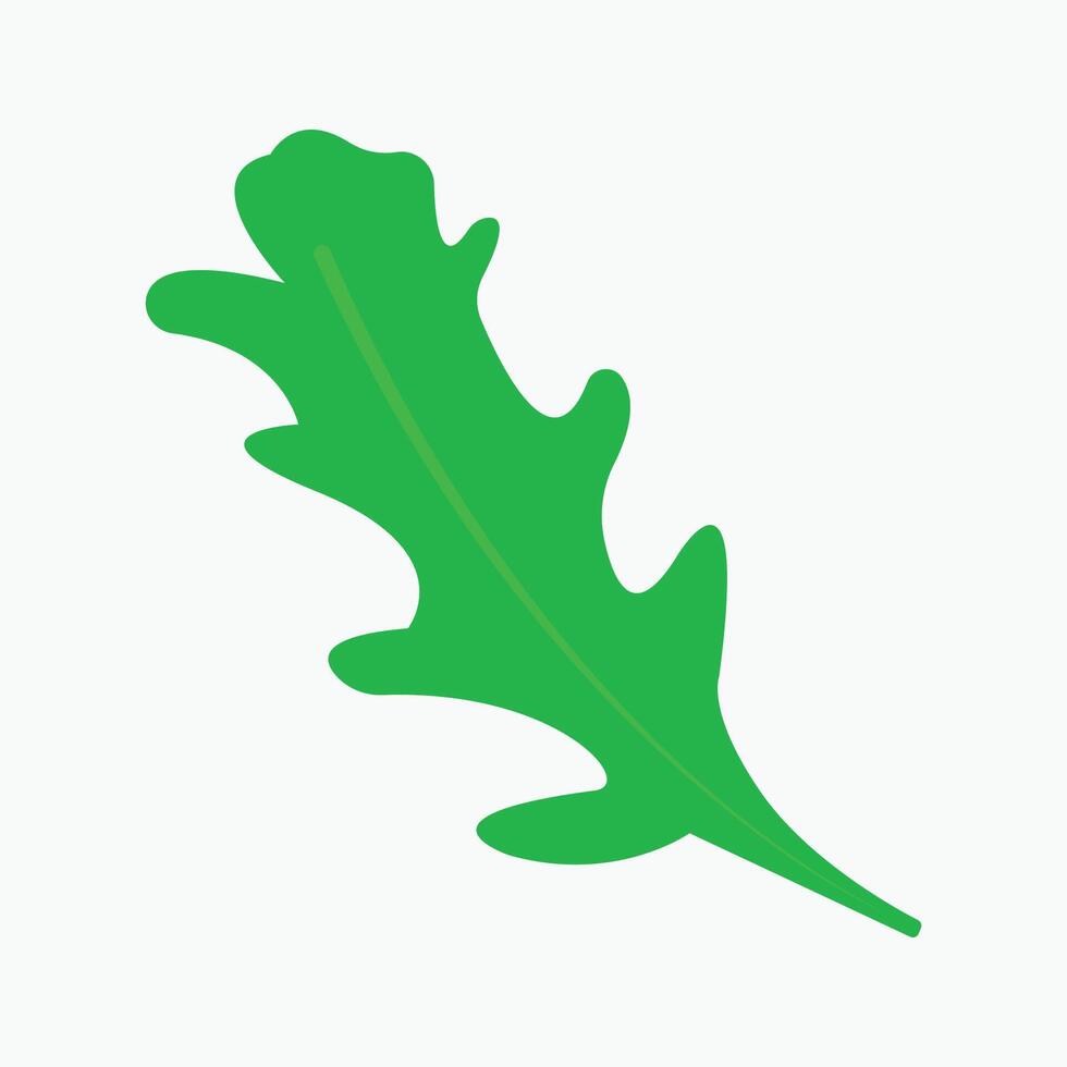 Green arugula leaves are commonly used for salad mixes or sandwiches. vector