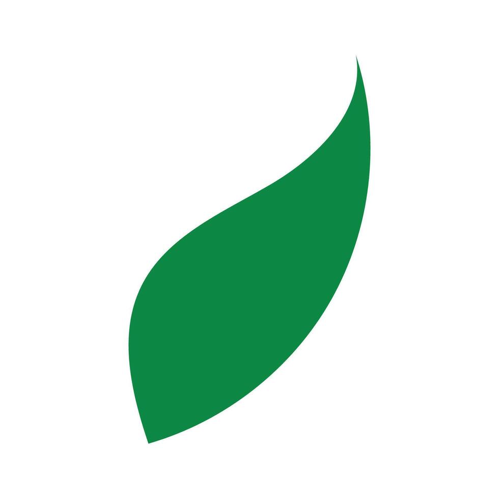 Simple green leaves isolated on a white background vector