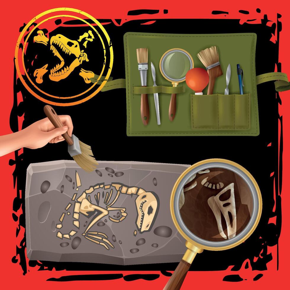 Dinosaur fossil excavation tools and techniques vector