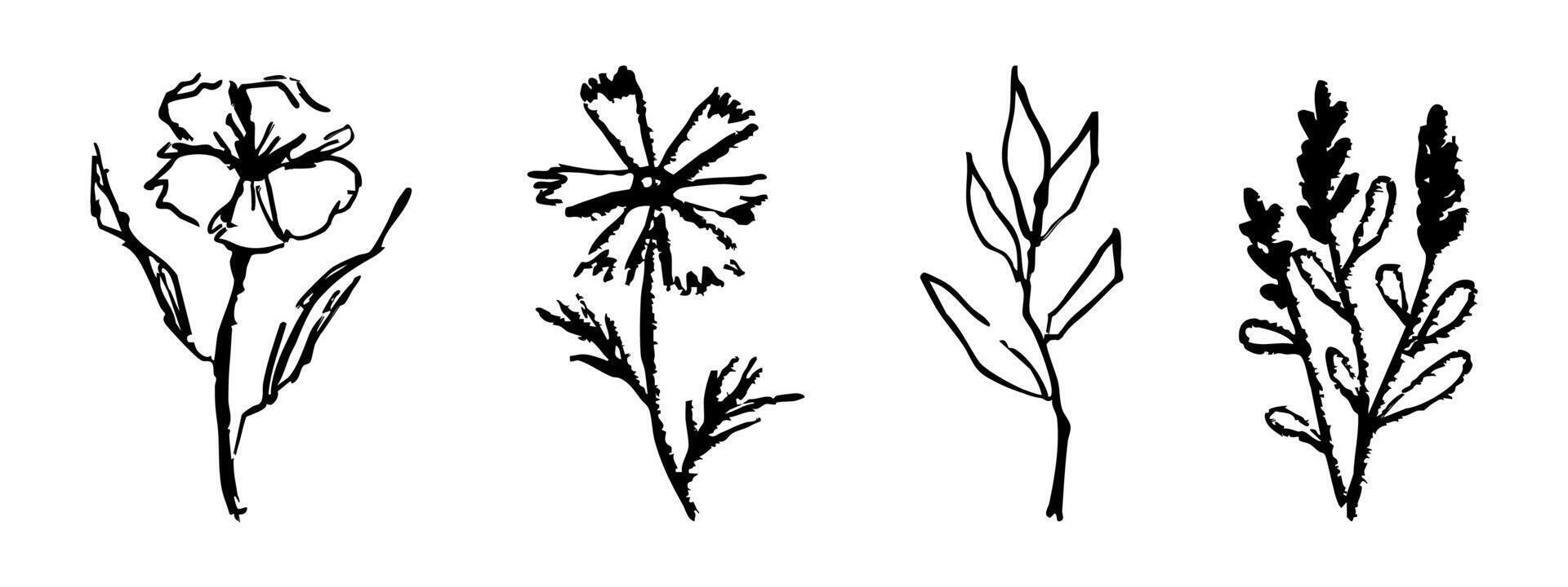 Floral botanical feminine wild flower summer line sketch drawing. Trendy minimal elements wedding herbs , minimalistic flowers with elegant leaves. Tiny tattoo, elegant rustic vector