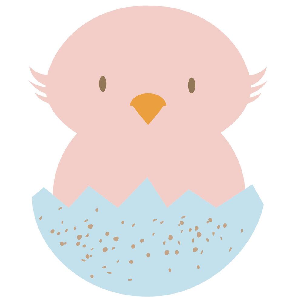 hatchling emerging from egg vector