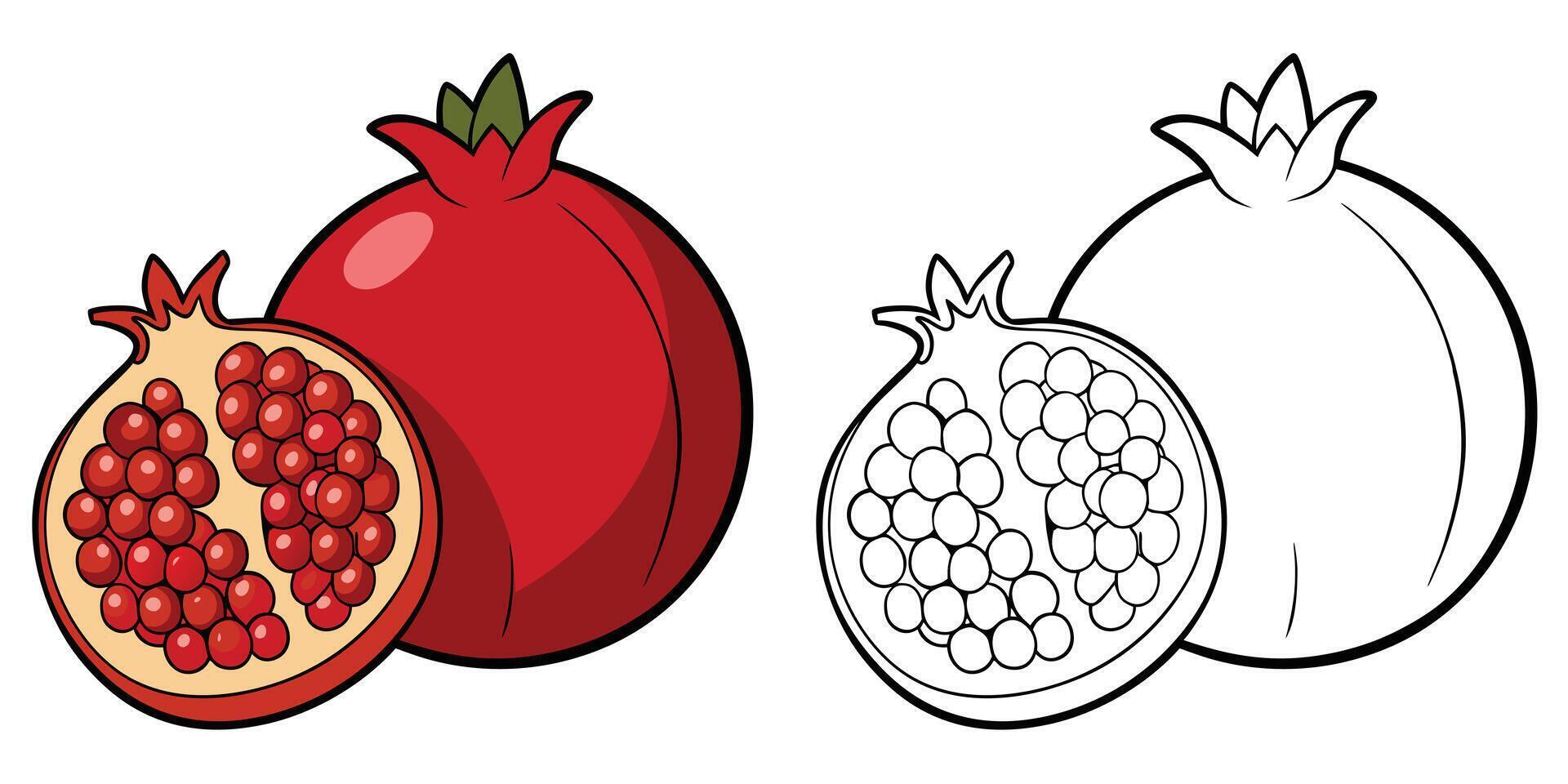 Red Pomegranate and Half Coloring Page For Kids. Pomegranate Fruit Outline and Illustration On White Background. Fruit Coloring Printable vector