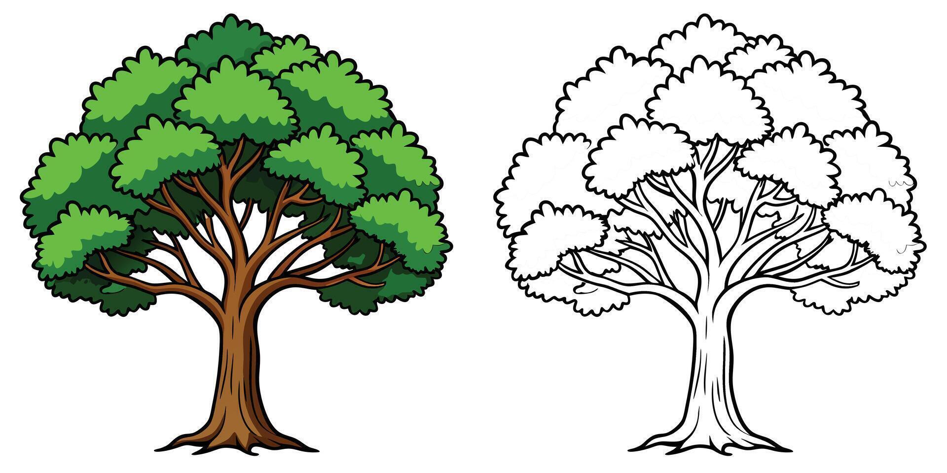 Tree coloring pages for kids with outline on white background vector