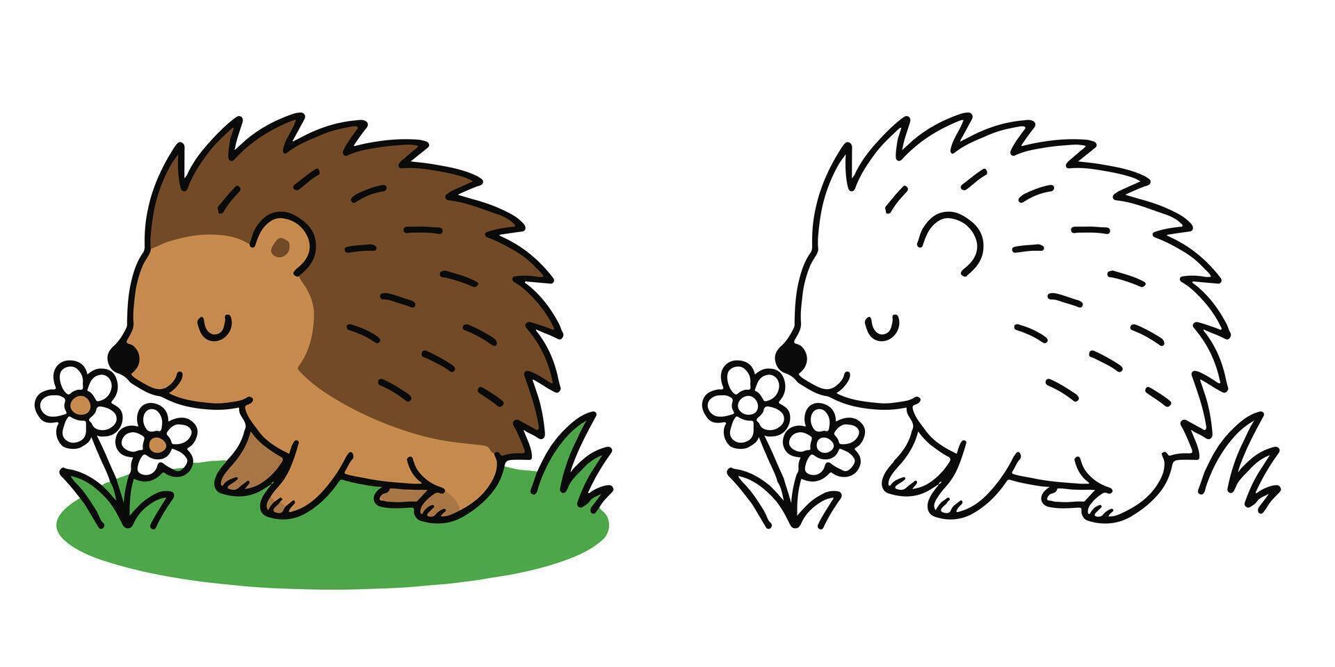 Coloring Book For Kids Little porcupine sniffing flowers on the grass Outline Illustration vector