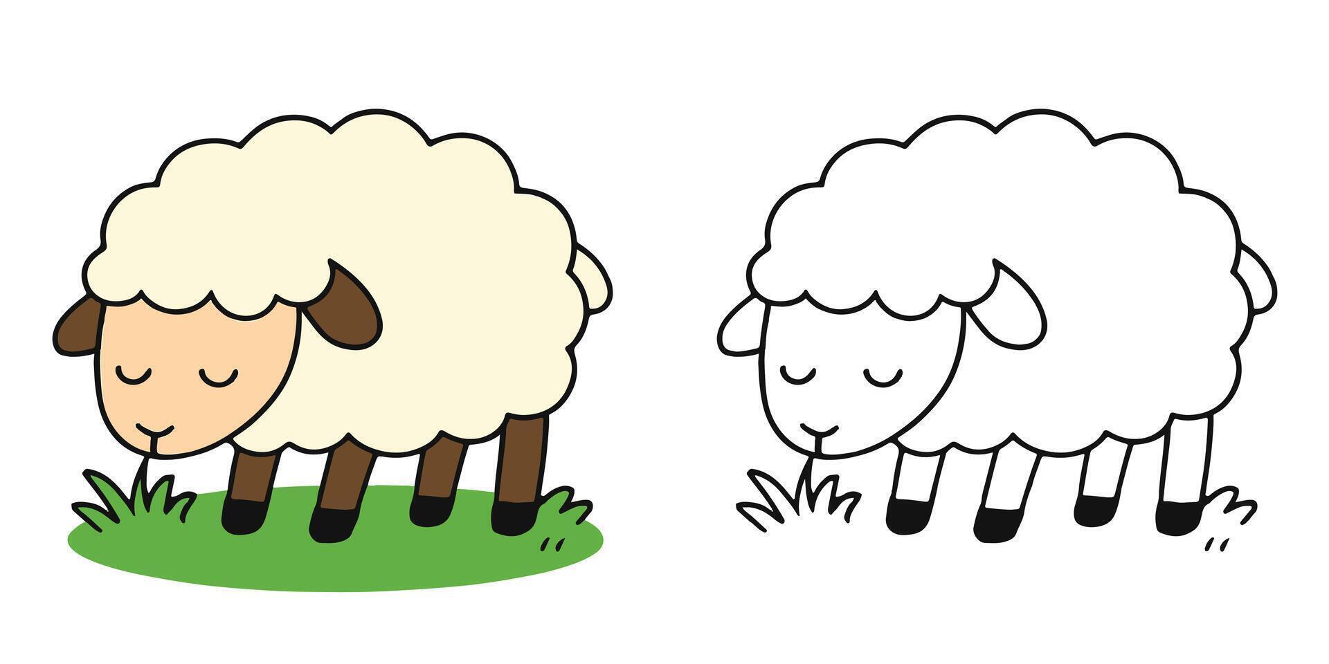 Coloring Book For Kids Fluffy sheep grazing in a grassy field Outline Illustration vector