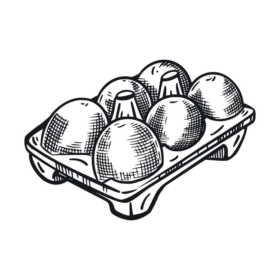 Packaging of chicken eggs, cell with eggs. All objects are hand-drawn in , illustration is suitable for printing on packaging of goods, food, decoration of farm shops vector