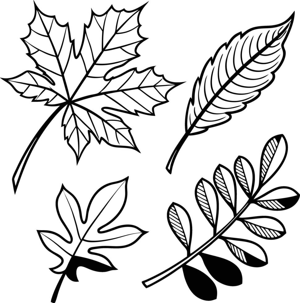 Elegant Black and White Line Art Autumn Leaves Four Detailed Designs for Fall Crafts, Prints, and Decorations vector