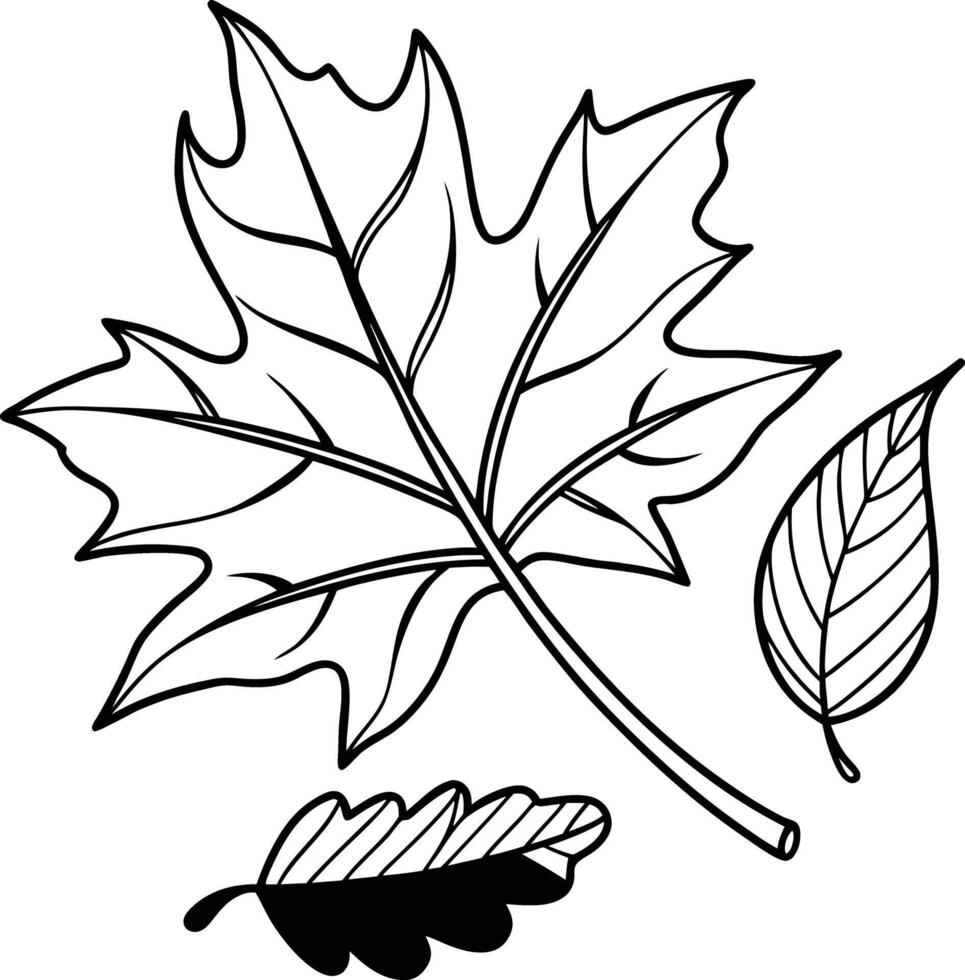 Serene Autumn Leaves Coloring Page Three Detailed Fall Foliage Designs for Peaceful Relaxation - Professional digital artwork with vibrant colors and detailed composition vector