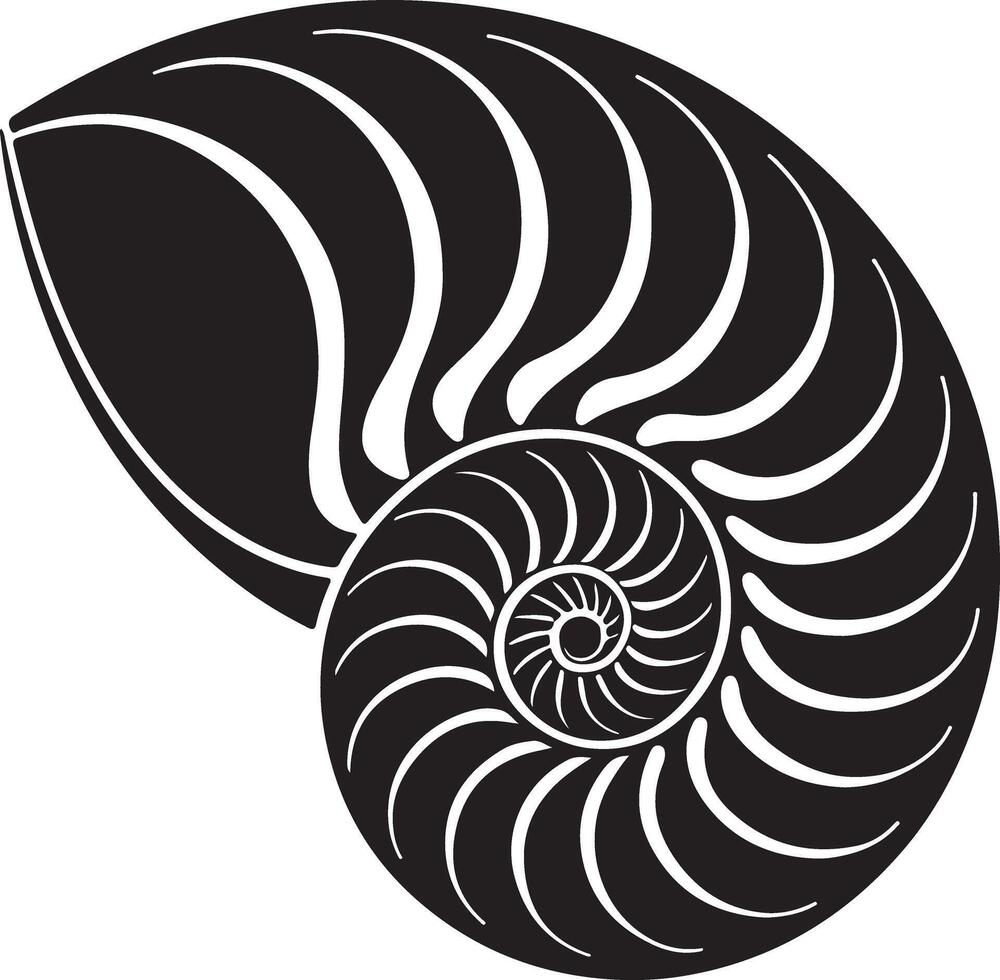Elegant Black and White Nautilus Shell Illustration A Stunning Spiral Design for Ocean Lovers, Perfect for Nautical Themes and Artistic Decoration vector