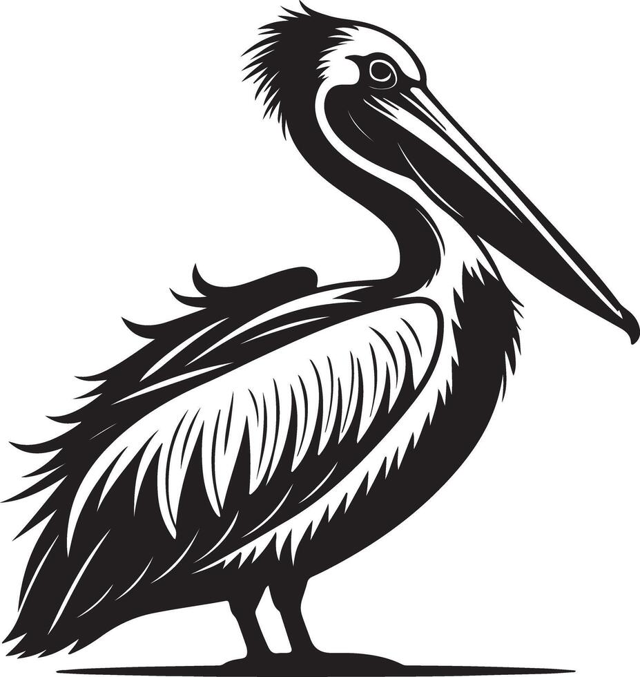 Majestic Brown Pelican Standing Proudly, a Striking Black and White Illustration of Coastal Birdlife - Professional digital artwork with vibrant colors and detailed composition vector