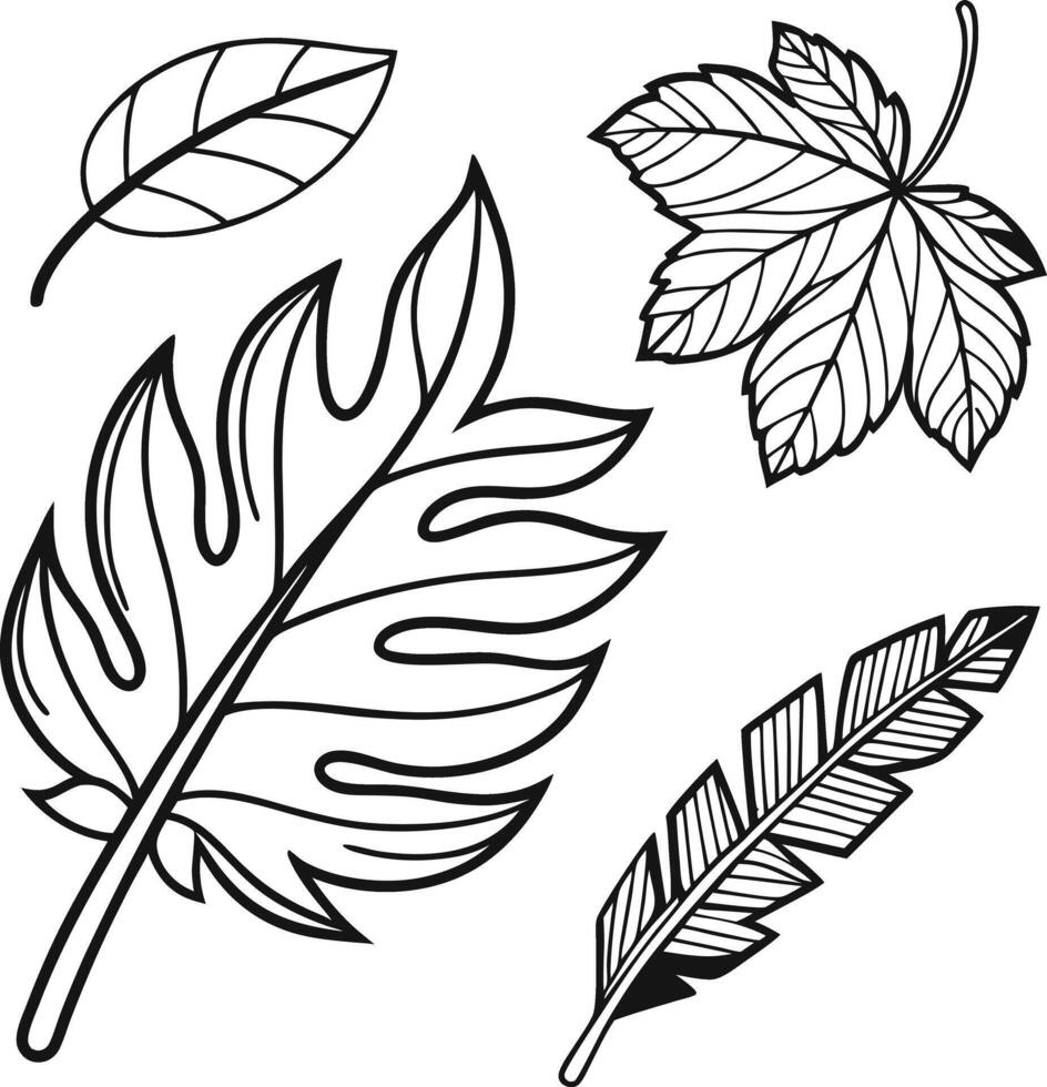 Serene Autumn Maple Leaf Coloring Page A Peaceful Fall Scene of Delicate Leaves Falling Gently vector