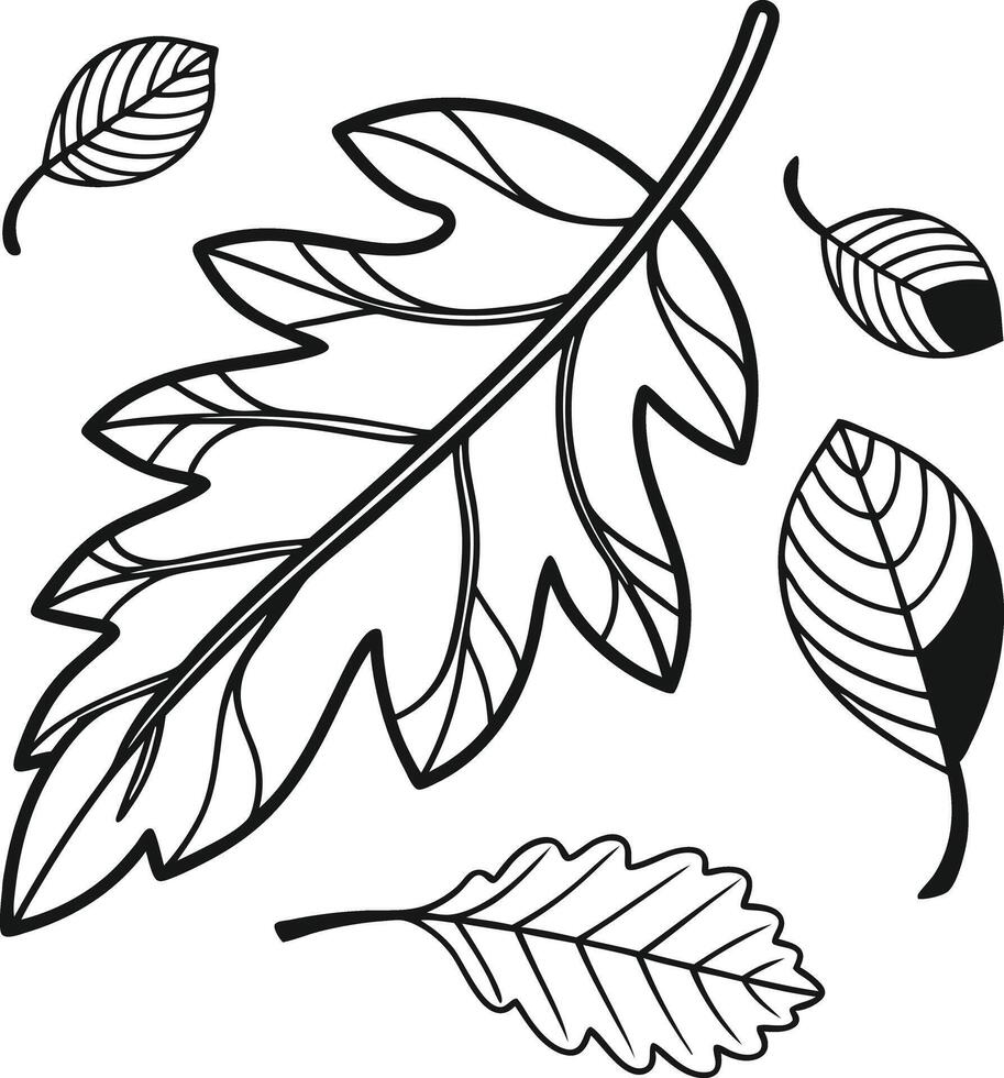 Serene Autumn Leaves Falling Gracefully on a White Background A Black and White Line Art Illustration vector