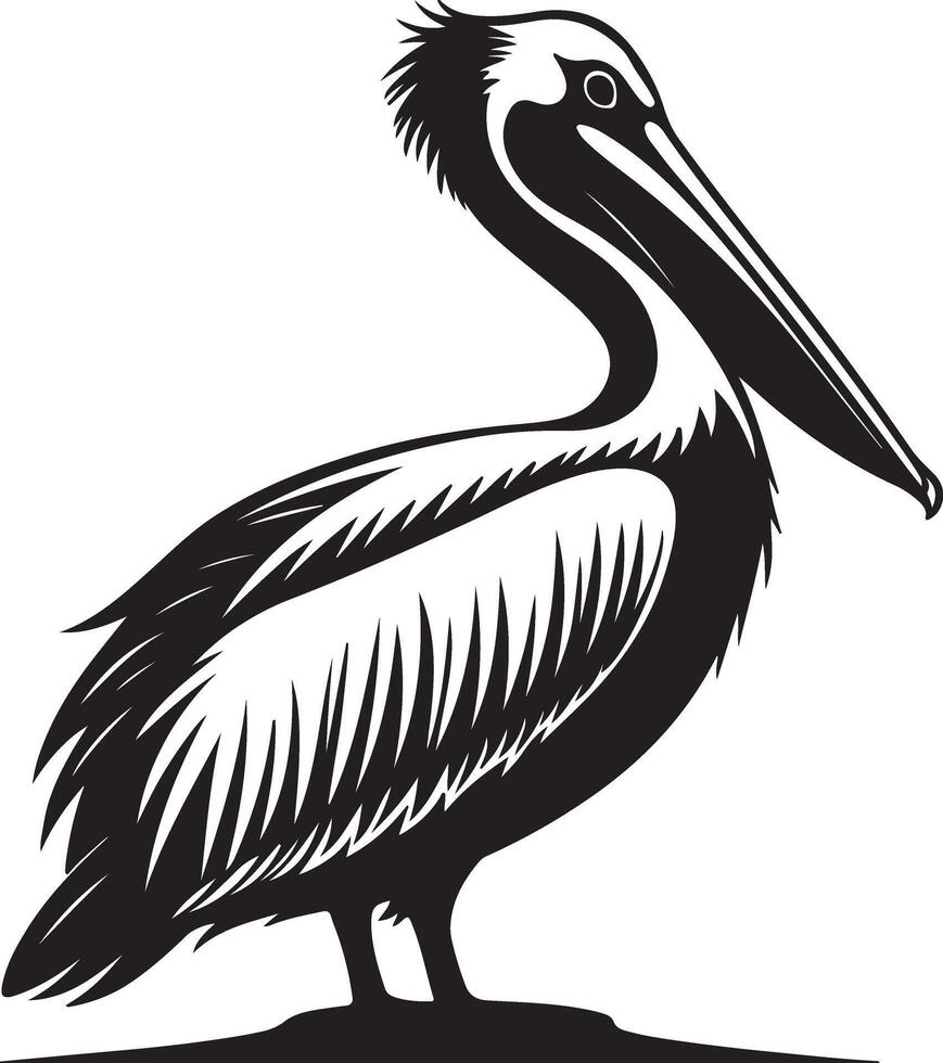 Majestic Brown Pelican in Profile A Striking Black and White Illustration of Coastal Bird Life vector