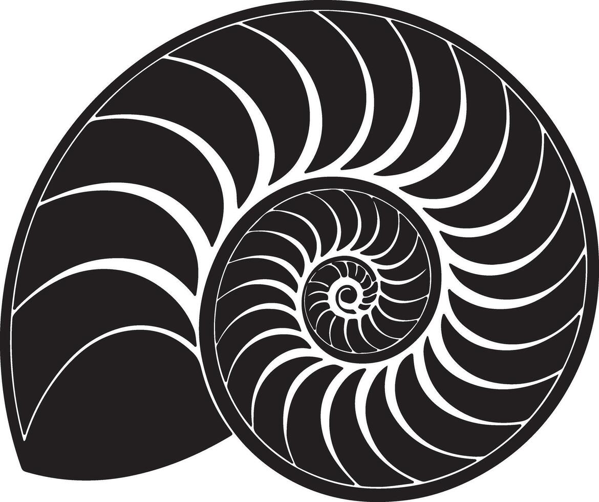 Elegant Black and White Nautilus Shell Spiral A Stunning Graphic Design of Ocean Life with Intricate Details and a Serene Mood vector