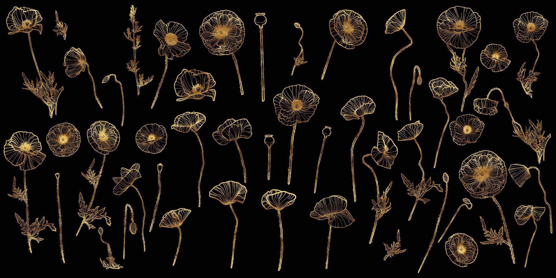 line art of poppies with a golden touch. Hand drawn high quality and detailed poppies. Elegant summer flowers for print and online. Luxurious flowers for card, invitations, wallpapers vector