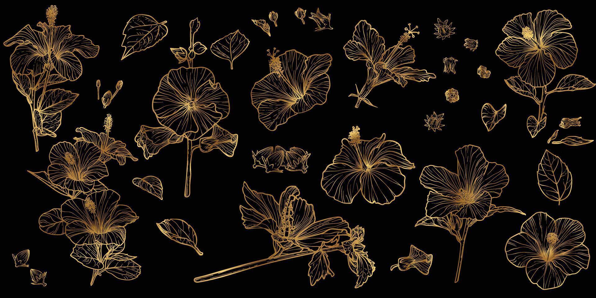 line art of hibiscus with a golden touch. Hand drawn high quality and detailed hibiscus. Elegant summer flowers for print and online. Luxurious flowers for card, invitations, wallpapers vector