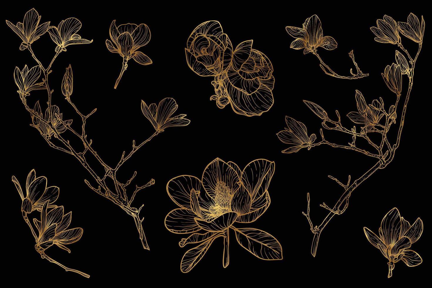 line art of magnolia with a golden touch. Hand drawn high quality and detailed magnolia. Elegant spring flowers for print and online. Luxurious flowers for card, invitations, wallpapers vector