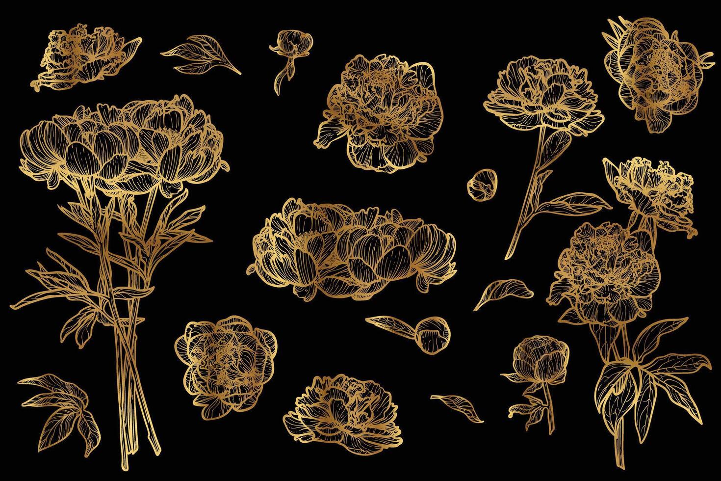 line art of peonies with a golden touch. Hand drawn high quality and detailed peonies. Elegant spring flowers for print and online. Luxurious flowers for card, invitations, wall art, wallpapers vector