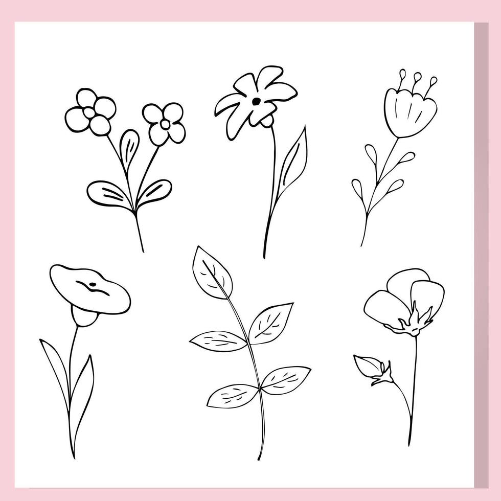 A set of six hand-drawn black and white floral doodles. Minimalistic cartoon-style flowers and leaves outlined on a white background with a pink frame. vector
