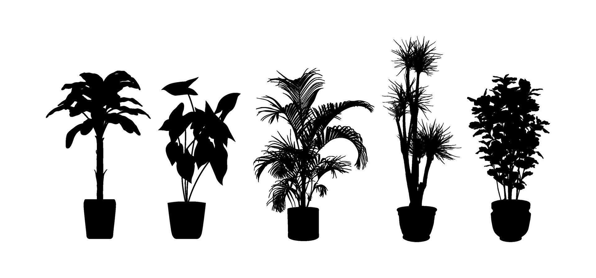 black silhouette of potted plants vector