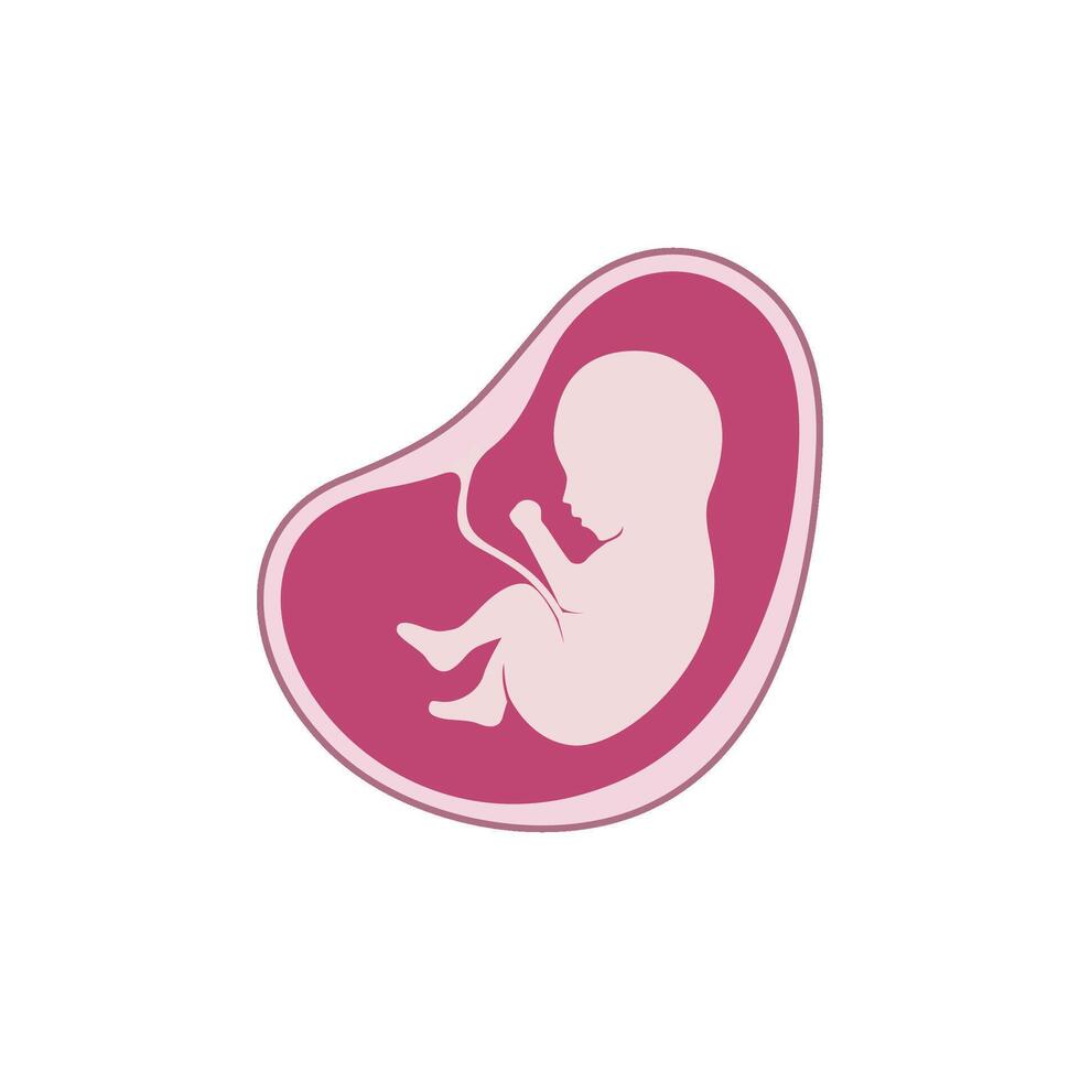 icon illustration of baby fetus in womb vector