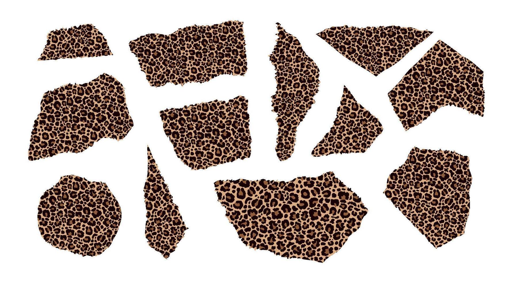 Set of pieces of paper with a leopard print. vector