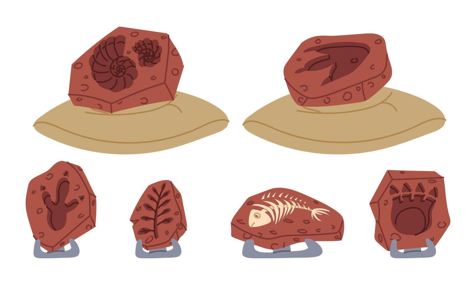 set of fossils, bones, dinosaur tracks, shells on a pillow and on stands. An archaeological find. A museum exhibit. Flat color illustration. scientific projects, encyclopedias, museum exhibitions vector