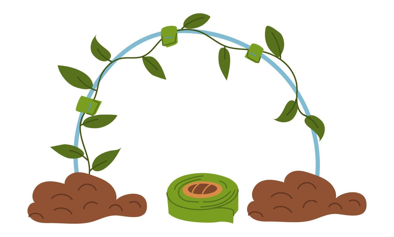 Tying a plant in an arc with a garter belt. Gardening tools. The work process. Flat color illustration. It is suitable for the design of articles and educational materials on gardening and hobbies. vector