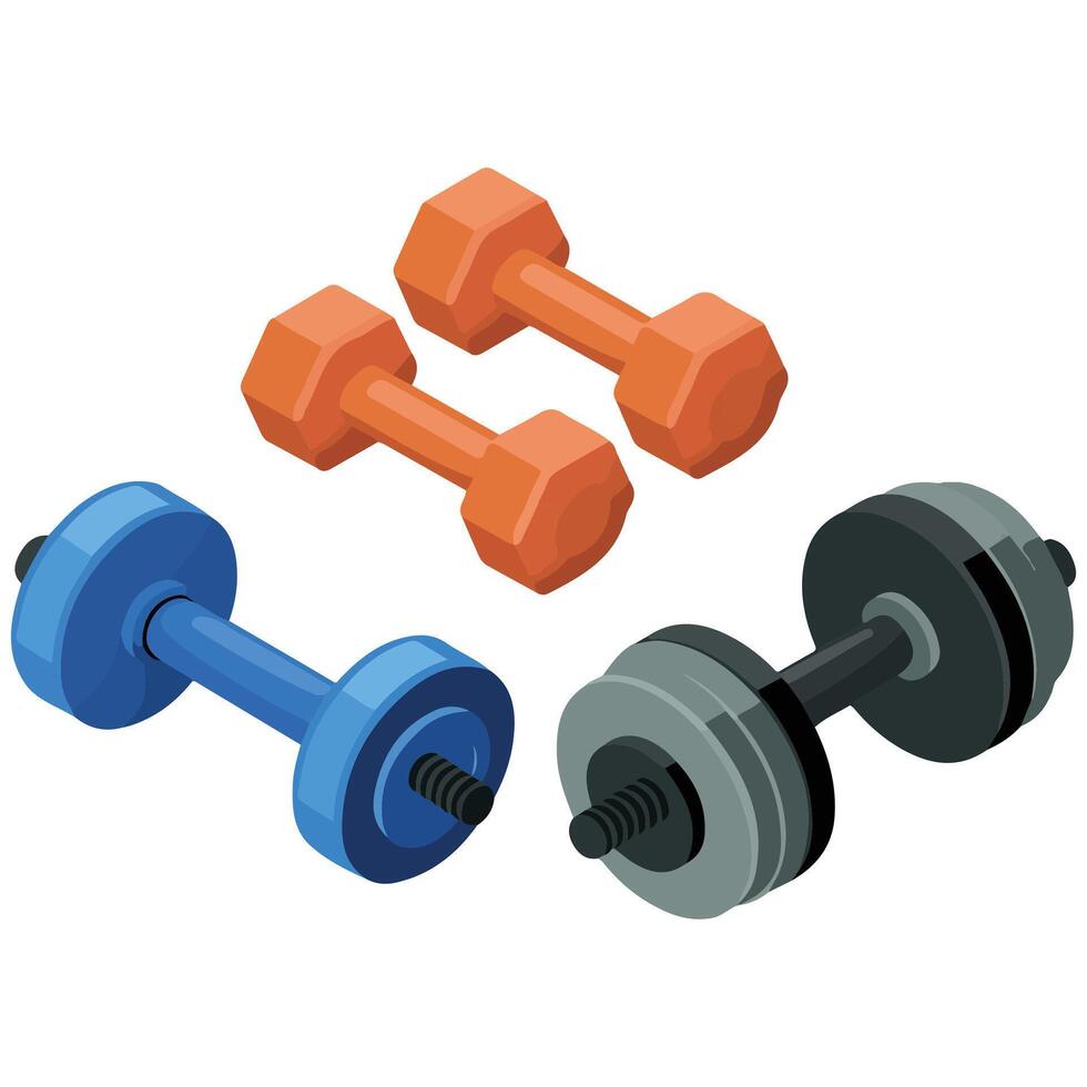 weightlifting equipment with free weights for gym workouts isolated illustration vector