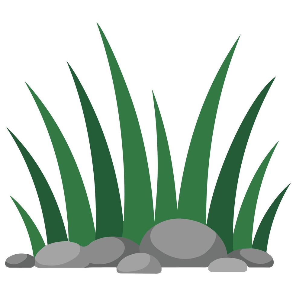 long green grass with stones illustration isolated on white background vector