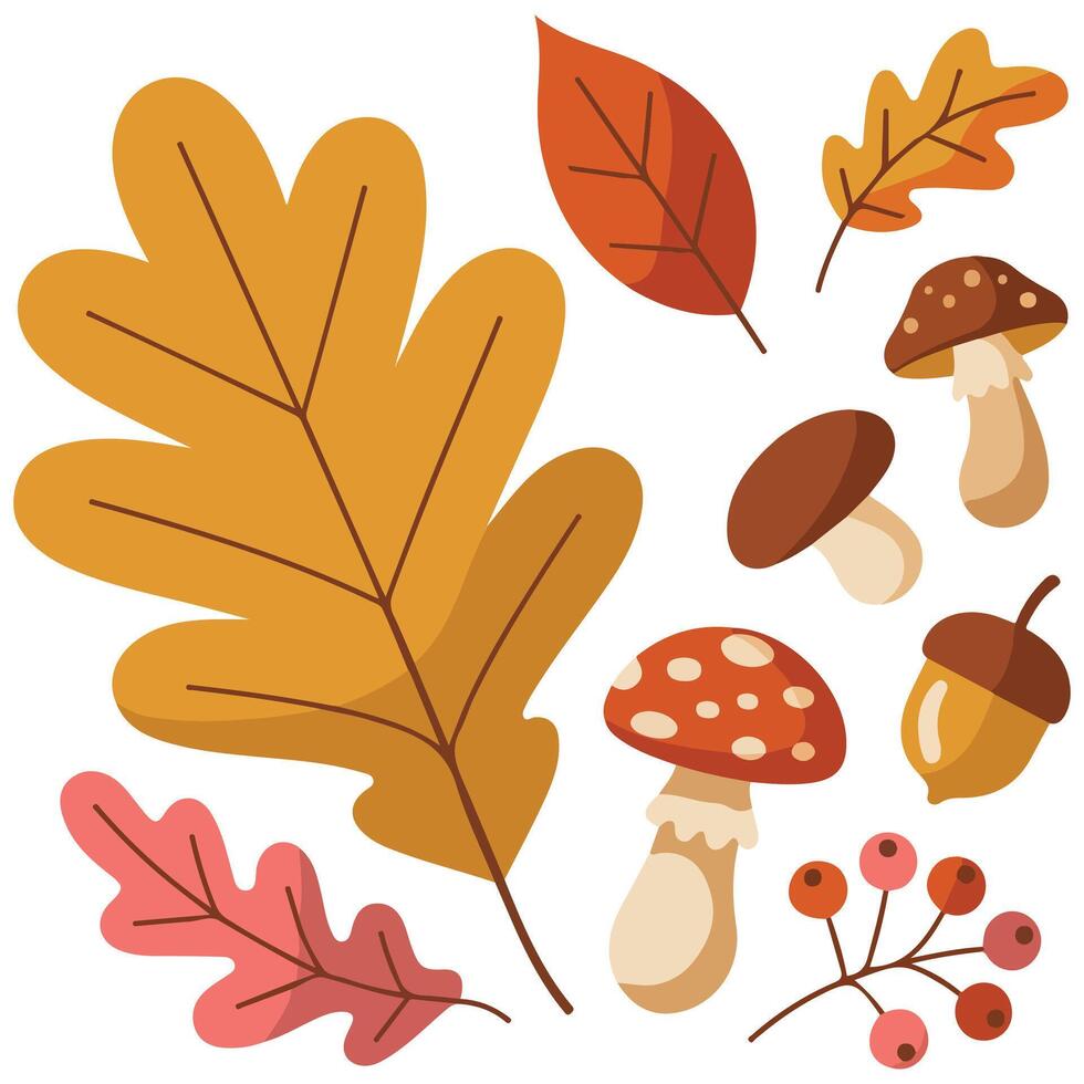 Autumn leaves acorns hand drawn isolated white background vector