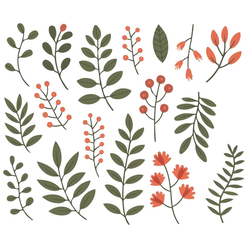 Painted leaves flowers branches set isolated white background vector