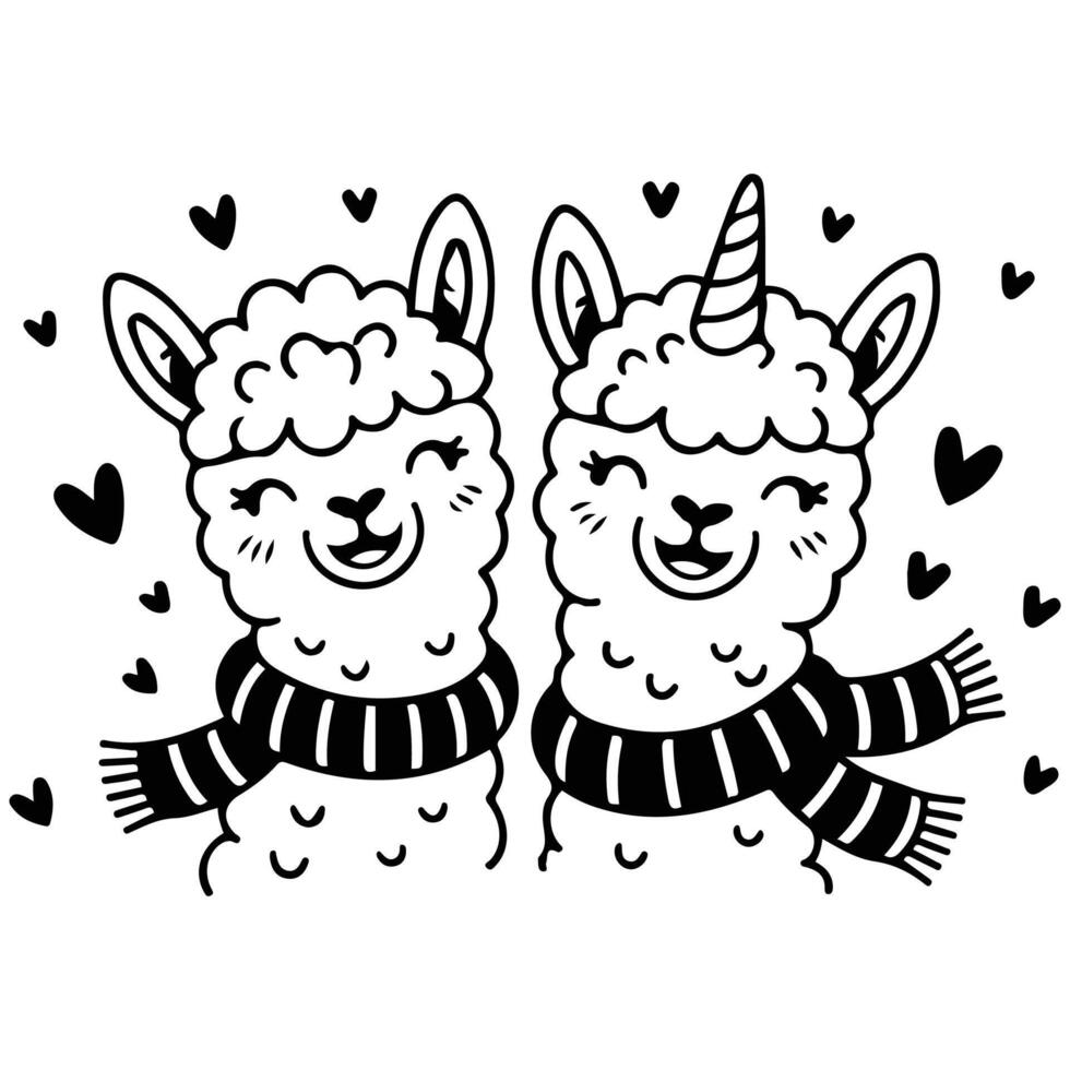 Baby llama with scarf isolated white background vector