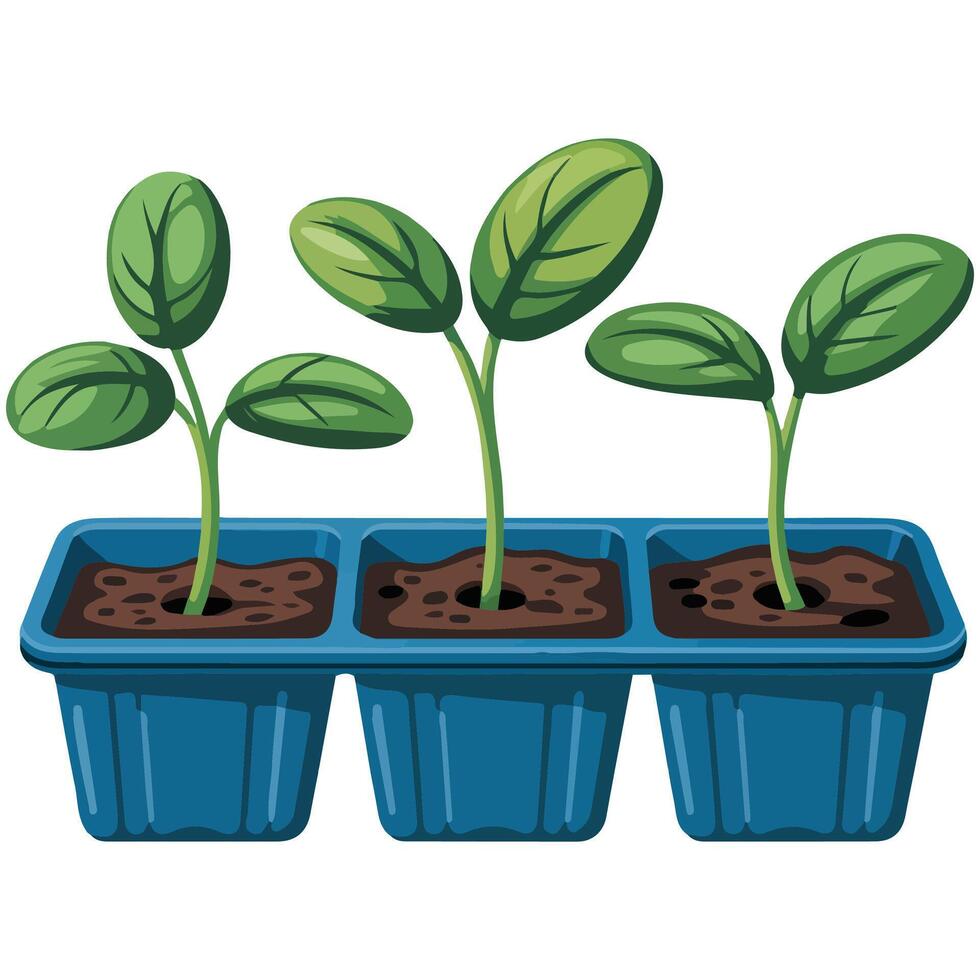 Microgreens with plant label isolated white background vector