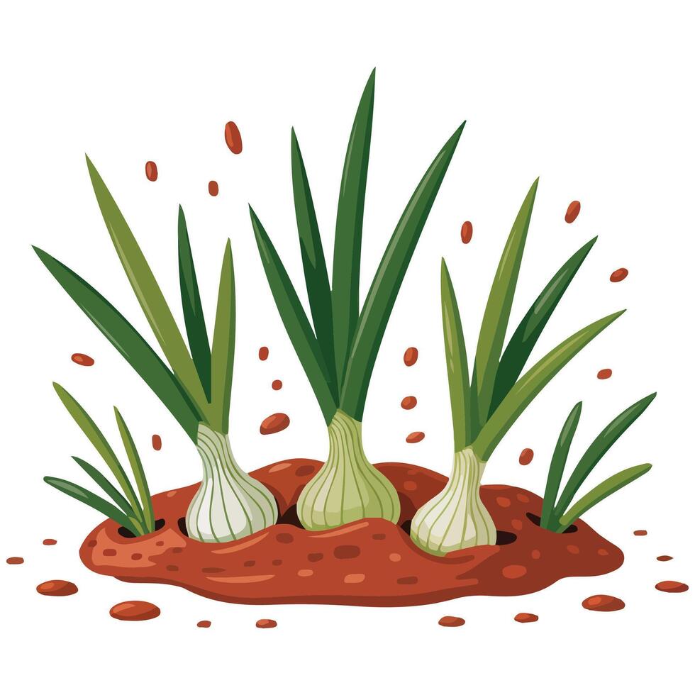 Earth bed with onions isolated white background vector