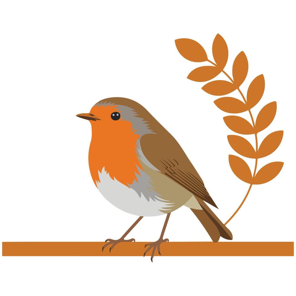 Robin bird profile side isolated white background vector