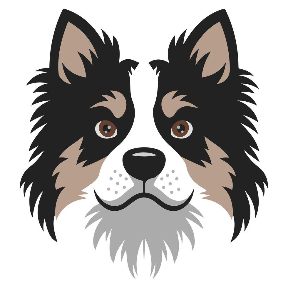 Border collie avatar icon isolated white background vector