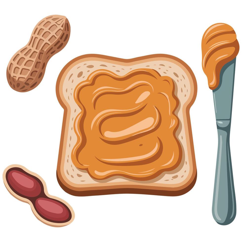 Bread with peanut spread isolated white background vector