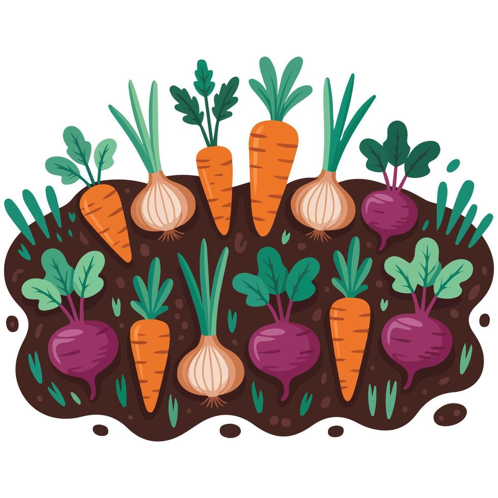 Vegetable beds garden plants isolated white background vector