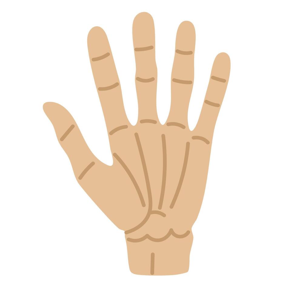 Cartoon skeleton hand with bones. Flat Halloween illustration on white background for spooky theme. vector