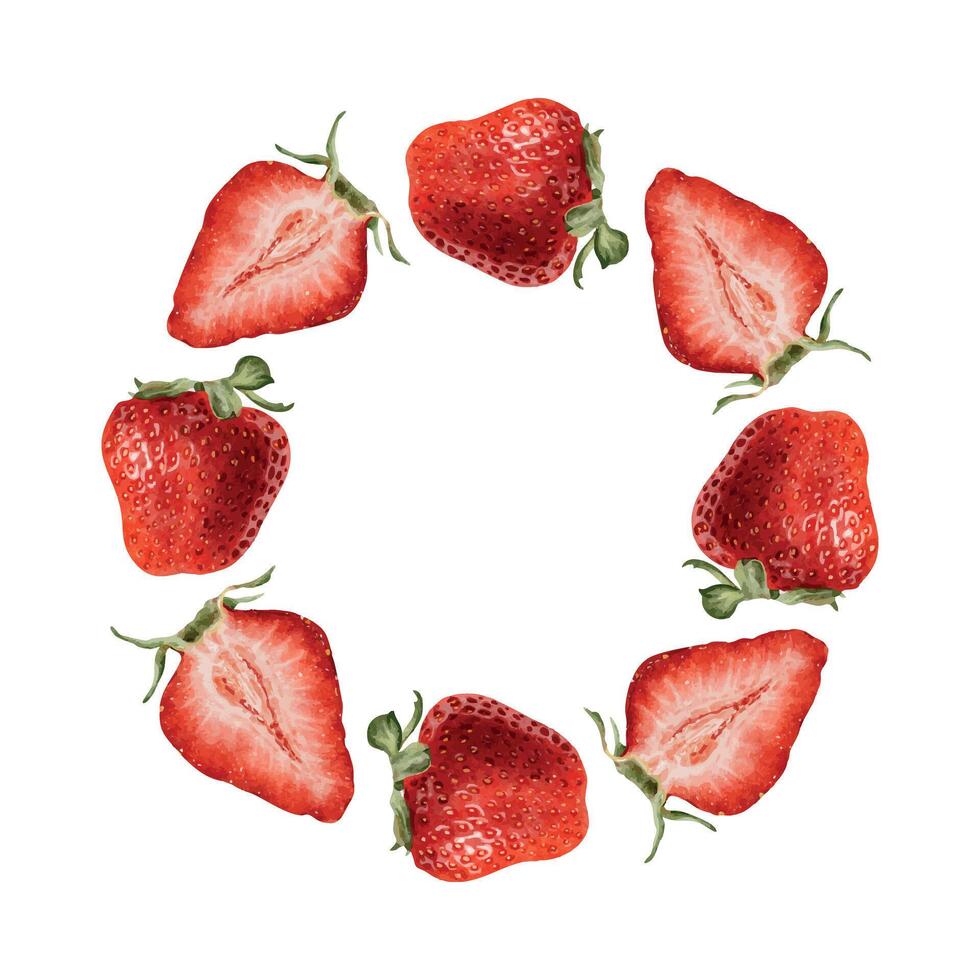 Circular arrangement of fresh strawberries vector