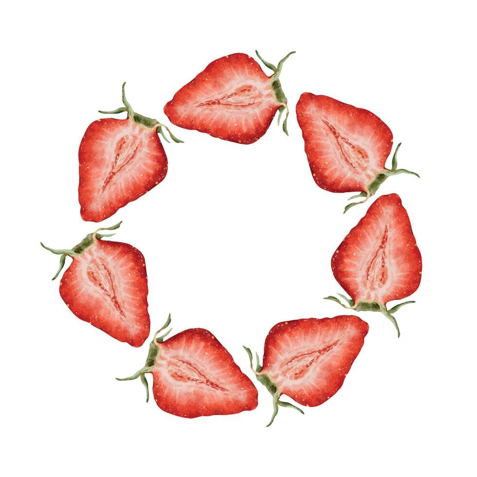 Circle of fresh sliced strawberries vector