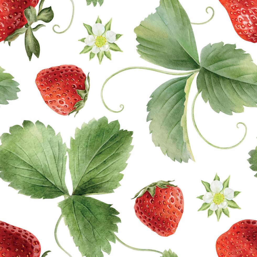Ripe red Strawberry berries, leaves, flowers and runners. Hand drawn watercolor seamless surface pattern design. Floral Botanical Background for package, cosmetic, tablecloth, wallpapers, textile vector