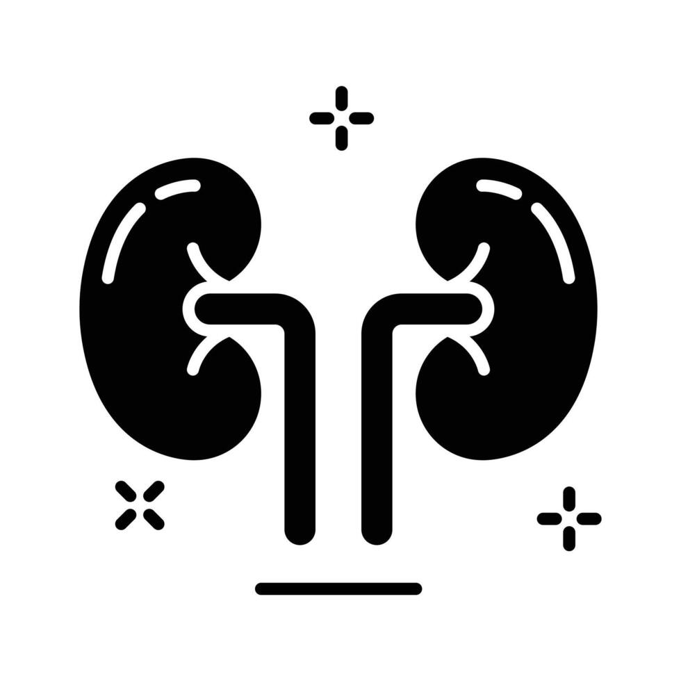 Get a glimpse of this glyph icon showing kidneys anatomy vector