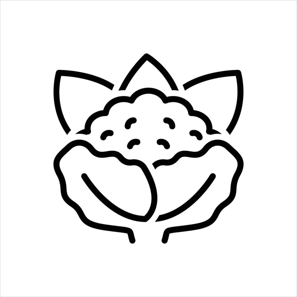 Black line icon cauliflower vector