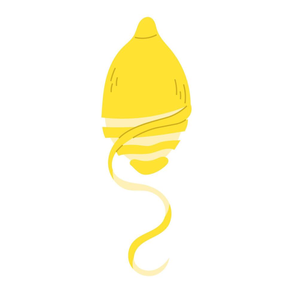 Lemon. Citrus fruits. illustration. vector