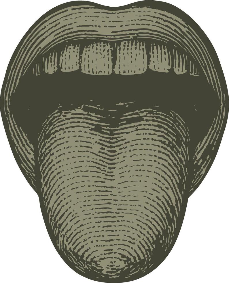 Illustration of an open mouth and tongue vector