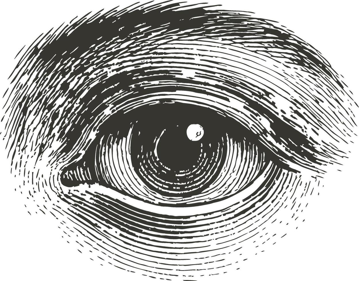 Illustration of an eye in black and white vector