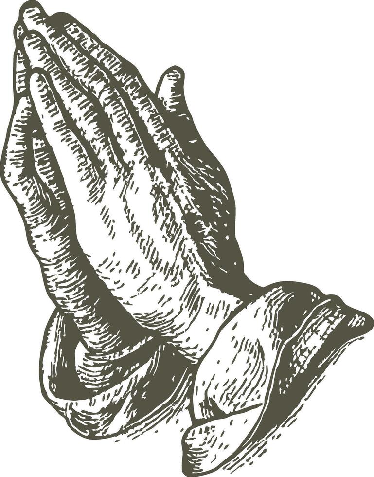 Illustration of hands in prayer vector