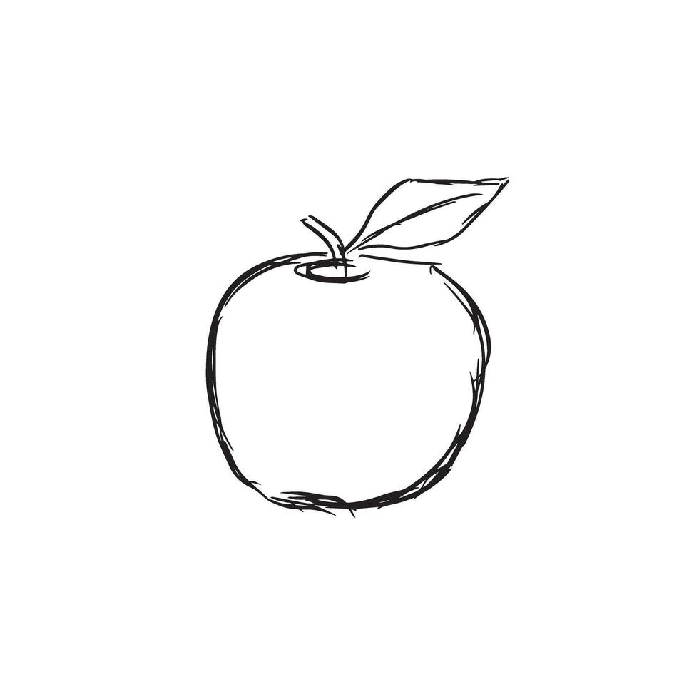hand drawn apple line art vector